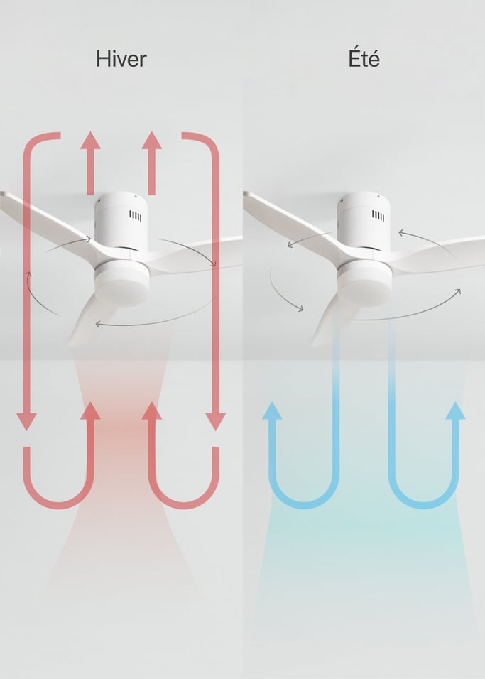 WIND CALM NATURAL WOOD - Ventilateur de plafond 40W silencieux 100% bois, image de la galerie 3