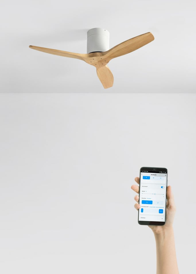 WIND CALM - Ventilateur de plafond silencieux 40W avec pales techniques en ABS de différentes tailles, image de la galerie 2