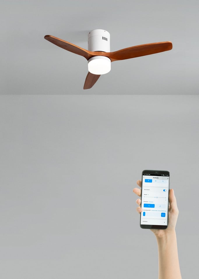 WIND CALM NATURAL WOOD - Ventilateur de plafond 40W silencieux 100% bois, image de la galerie 2