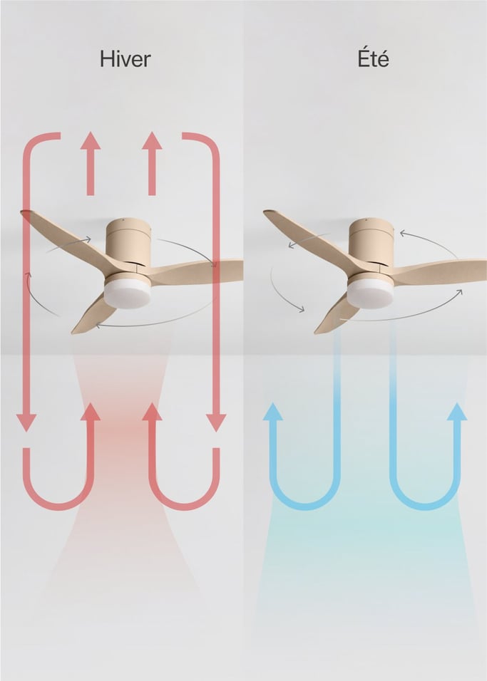 WIND CALM - Ventilateur de plafond silencieux 40W avec pales techniques en ABS de différentes tailles, image de la galerie 3