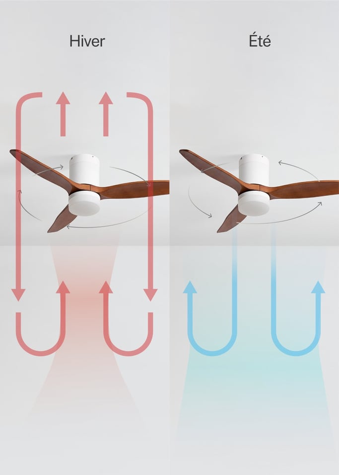 WIND CALM - Ventilateur de plafond silencieux 40W avec pales techniques en ABS de différentes tailles, image de la galerie 3