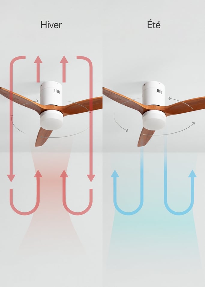 WIND CALM NATURAL WOOD - Ventilateur de plafond 40W silencieux 100% bois, image de la galerie 3