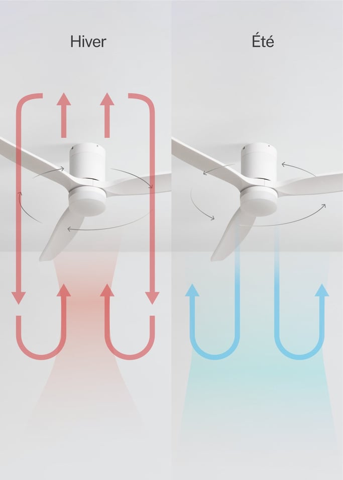 WIND CALM - Ventilateur de plafond silencieux 40W avec pales techniques en ABS de différentes tailles, image de la galerie 3