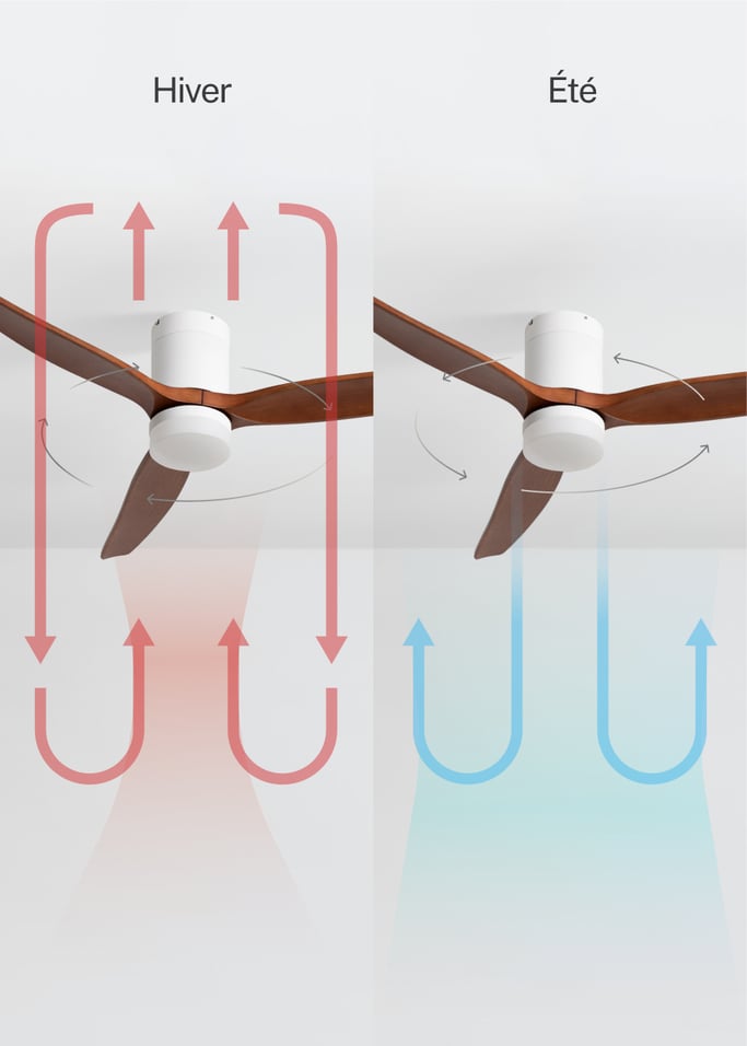WIND CALM - Ventilateur de plafond silencieux 40W avec pales techniques en ABS de différentes tailles, image de la galerie 3