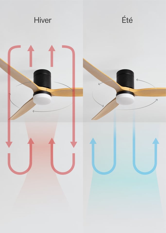 WIND CALM - Ventilateur de plafond silencieux 40W avec pales techniques en ABS de différentes tailles, image de la galerie 3