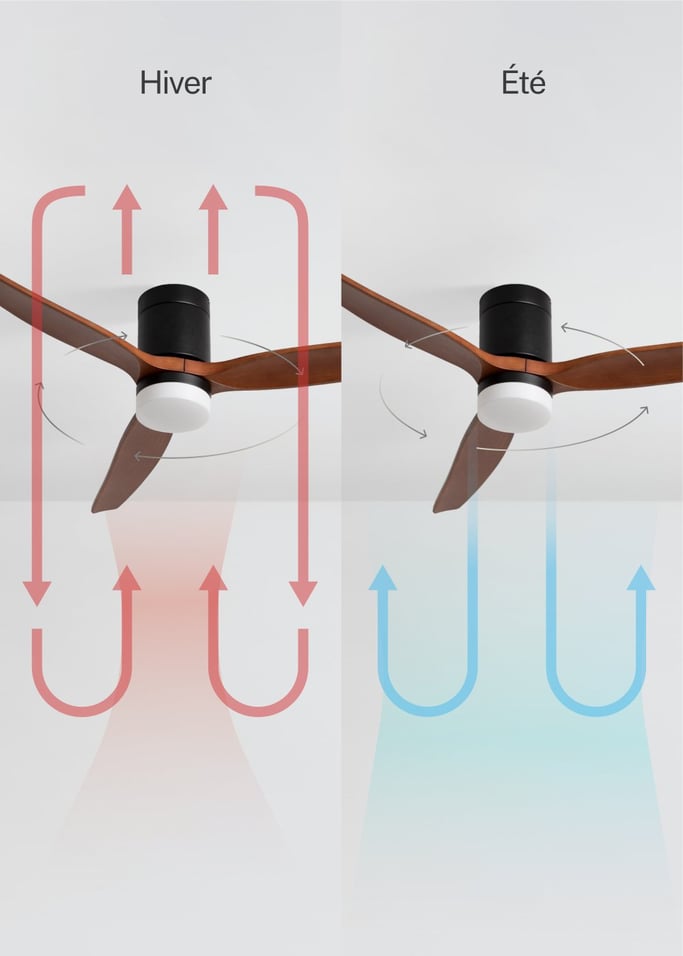 WIND CALM - Ventilateur de plafond silencieux 40W avec pales techniques en ABS de différentes tailles, image de la galerie 3