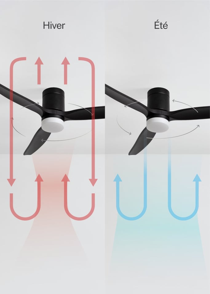 WIND CALM - Ventilateur de plafond silencieux 40W avec pales techniques en ABS de différentes tailles, image de la galerie 3