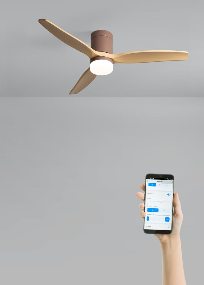 WIND CALM - Ventilateur de plafond silencieux 40W avec pales techniques en ABS de différentes tailles, image de la galerie 2
