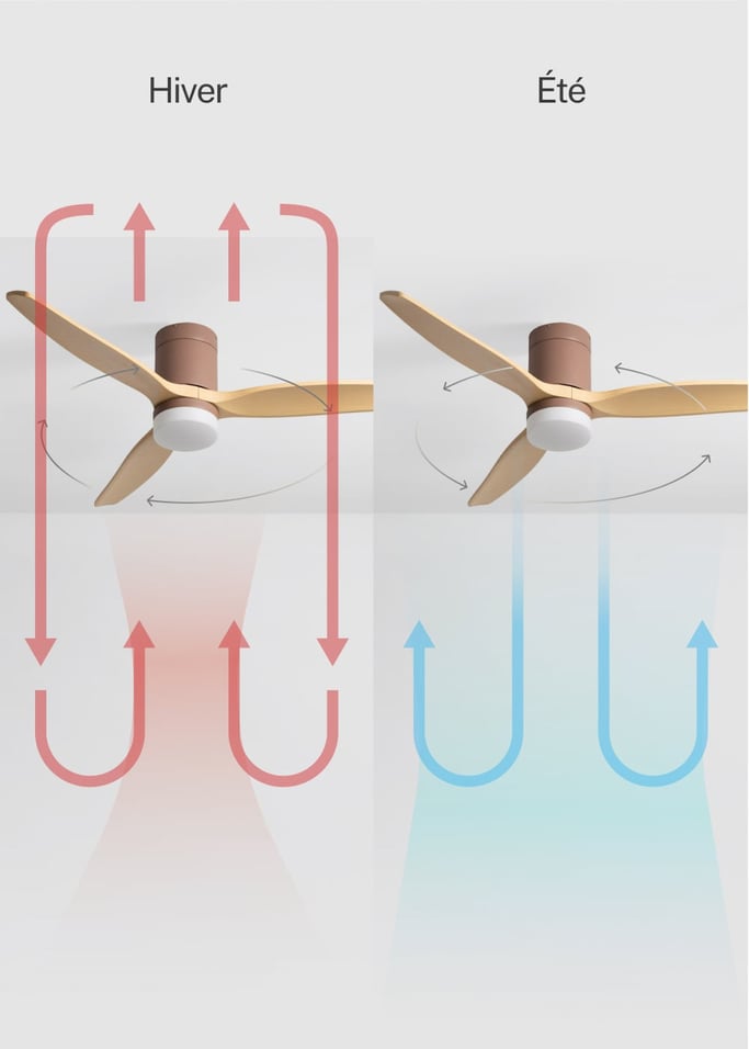 WIND CALM - Ventilateur de plafond silencieux 40W avec pales techniques en ABS de différentes tailles, image de la galerie 3