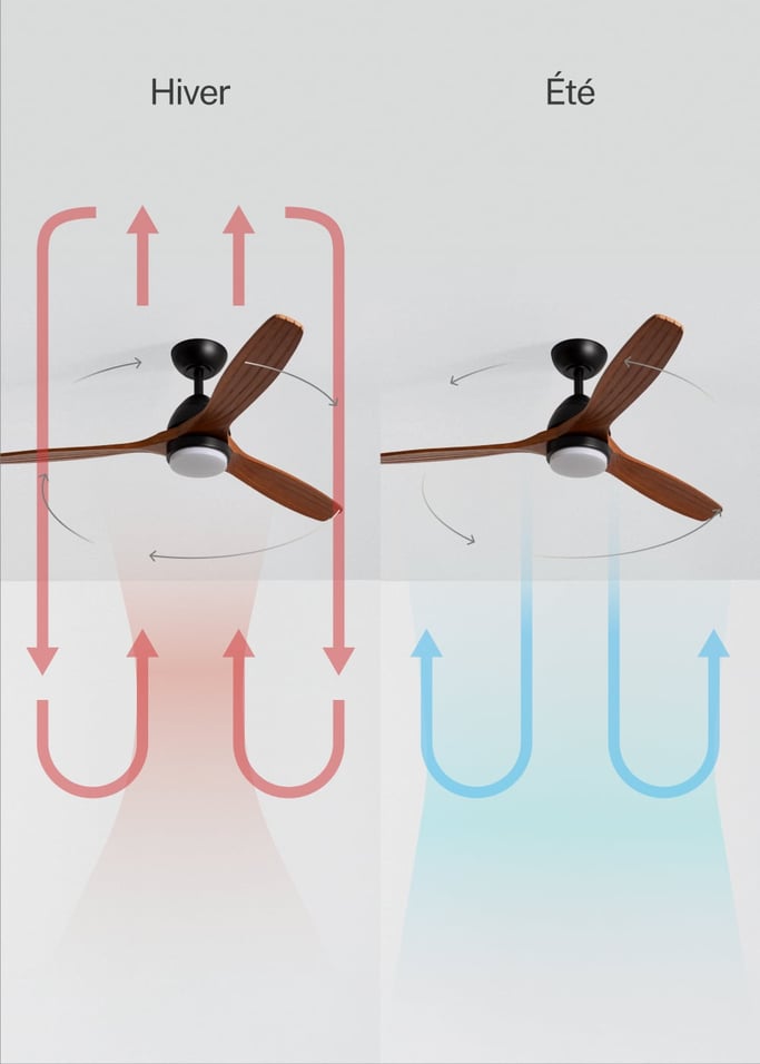 WIND CUP - Ventilateur de plafond 40W silencieux Ø132 cm 100% bois, image de la galerie 3
