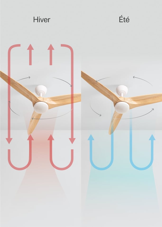 WIND CENTURY - Ventilateur de plafond 40W silencieux Ø152 cm 100% bois, image de la galerie 3