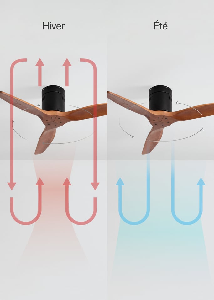 WIND CALM NATURAL WOOD - Ventilateur de plafond 40W silencieux 100% bois, image de la galerie 3