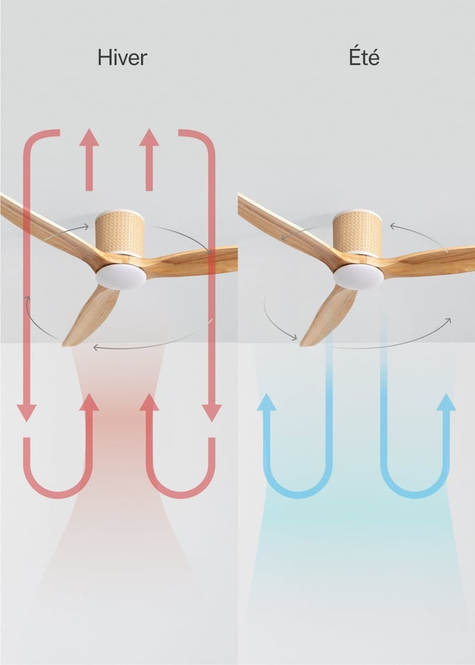 WIND CALM RATTAN - Ventilateur de plafond 40W silencieux Ø132 cm avec éclairage LED dans le corps et la lampe, image de la galerie 3