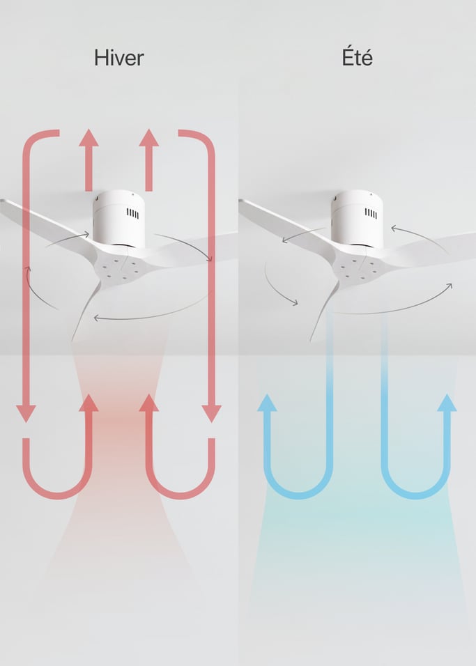 WIND CALM NATURAL WOOD - Ventilateur de plafond 40W silencieux 100% bois, image de la galerie 3