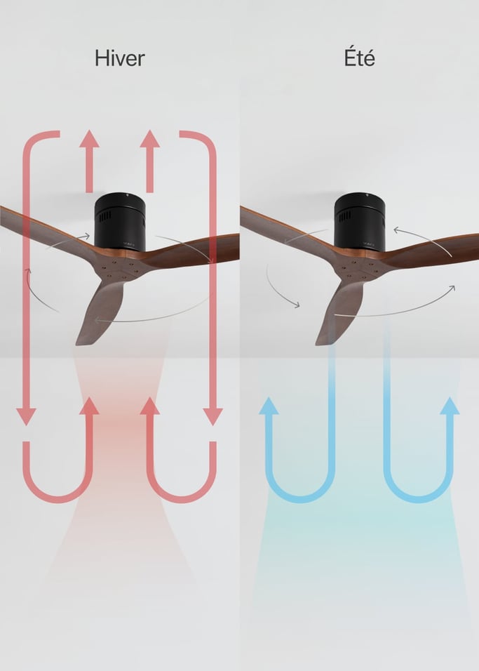 WIND CALM NATURAL WOOD - Ventilateur de plafond 40W silencieux 100% bois, image de la galerie 3