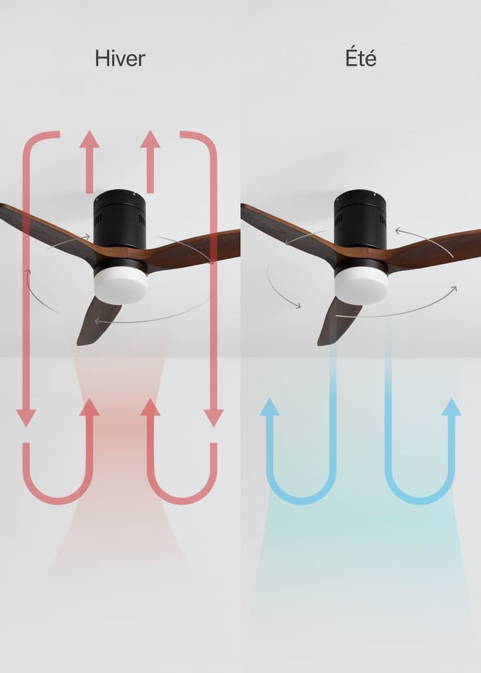 WIND CALM NATURAL WOOD - Ventilateur de plafond 40W silencieux 100% bois, image de la galerie 3