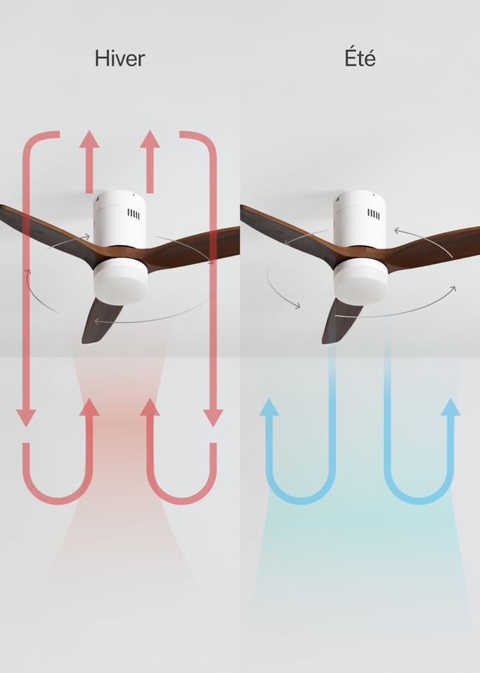 WIND CALM NATURAL WOOD - Ventilateur de plafond 40W silencieux 100% bois, image de la galerie 3