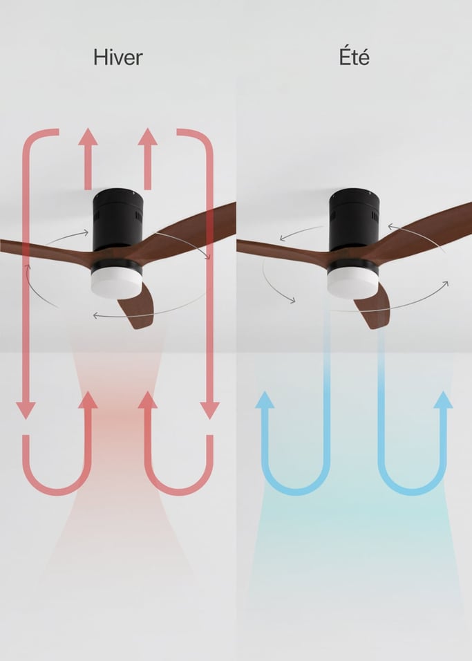 WIND CALM NATURAL WOOD - Ventilateur de plafond 40W silencieux 100% bois, image de la galerie 3