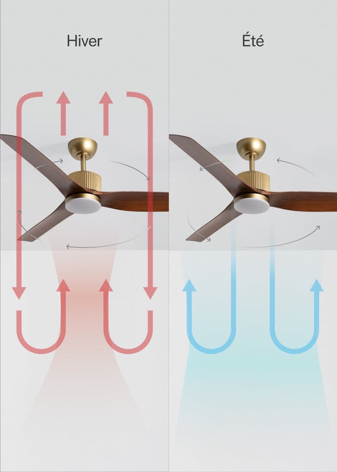 WIND ASTORIA - Ventilateur de plafond silencieux 43 W Ø132 cm avec lumière LED, image de la galerie 4