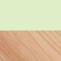 Pastel green / Light wood