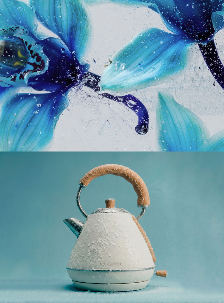 Reflections of winter