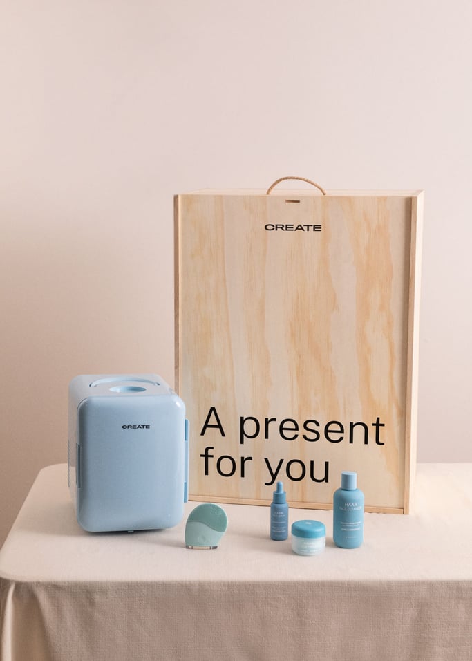 BEAUTY ROUTINE BOX - Confezione regalo con minifrigorifero portatile + spazzola per il viso + 3 prodotti di belleza Haan, Immagine di galleria 2