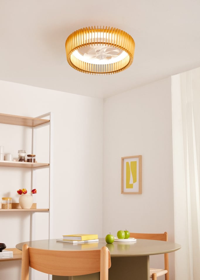 WIND CRAFT - Ventilatore da soffitto 20W silenzioso Ø58cm pale direzionali con luce LED
, Immagine di galleria 1