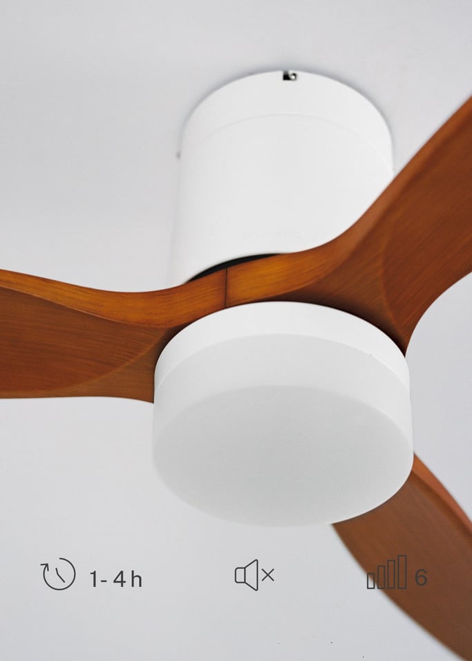 WIND CALM - Ventilatore da soffitto silenzioso da 40W con pale tecniche in ABS di varie dimensioni, Immagine di galleria 5