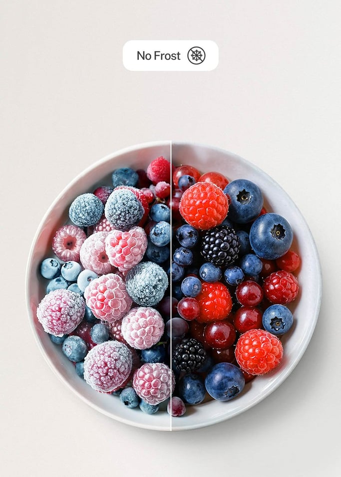 FRIDGE STUDIO COMBI 231 - Frigorifero combinato 231L No Frost, Immagine di galleria 5