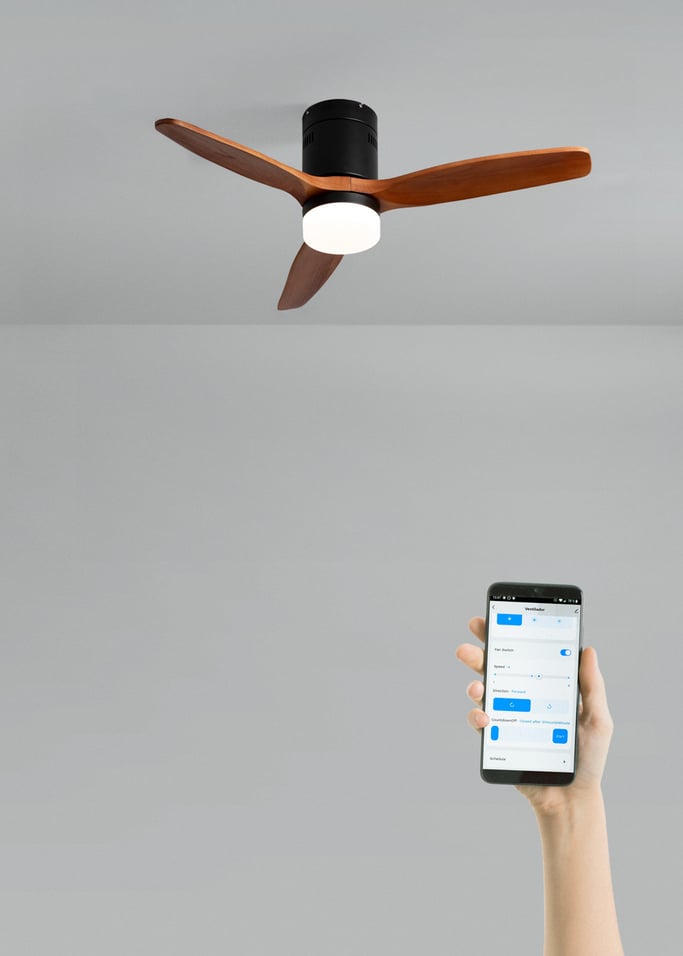 WIND CALM NATURAL WOOD - Ventilatore da soffitto 40W silenzioso 100% legno, Immagine di galleria 2