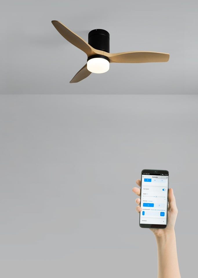 WIND CALM - Ventilatore da soffitto silenzioso da 40W con pale tecniche in ABS di varie dimensioni, Immagine di galleria 2