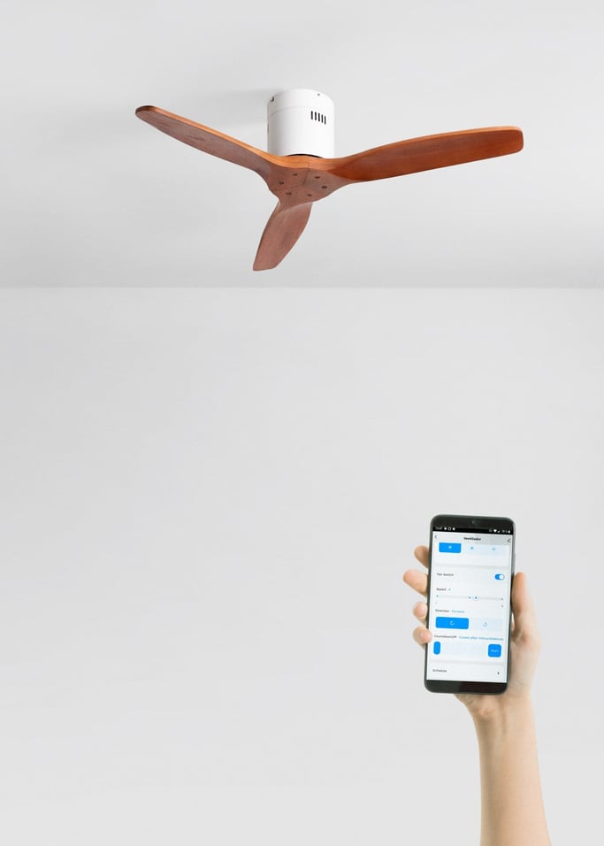 WIND CALM NATURAL WOOD - Ventilatore da soffitto 40W silenzioso 100% legno, Immagine di galleria 2