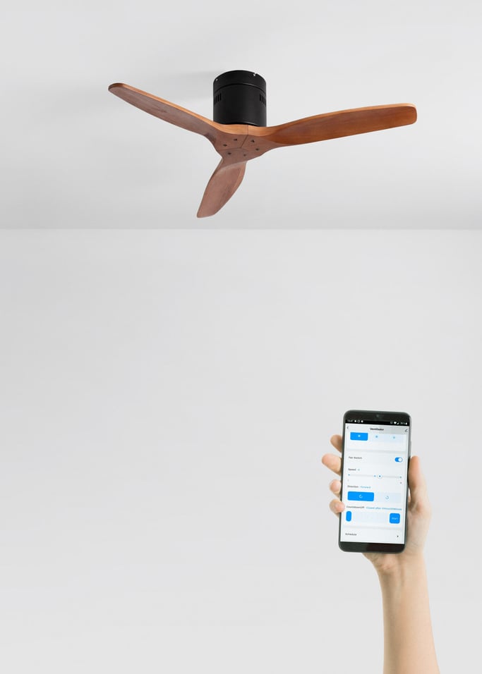 WIND CALM NATURAL WOOD - Ventilatore da soffitto 40W silenzioso 100% legno, Immagine di galleria 2