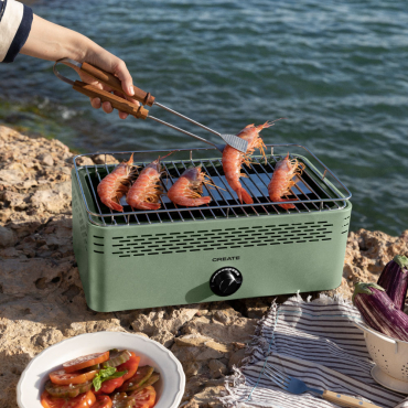 BBQ COMPACT - Rookarme Draagbare Houtskoolbarbecue Salie