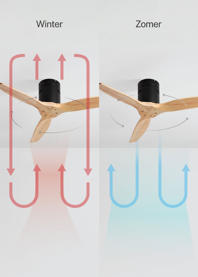 WIND CALM NATURAL WOOD - Plafondventilator 40W silent 100% hout, afbeelding van de galerij 3