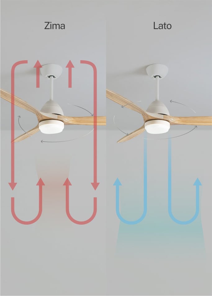 WIND CUP - Wentylator sufitowy 40W cichy Ø132 cm 100% drewna, obraz z galerii 3