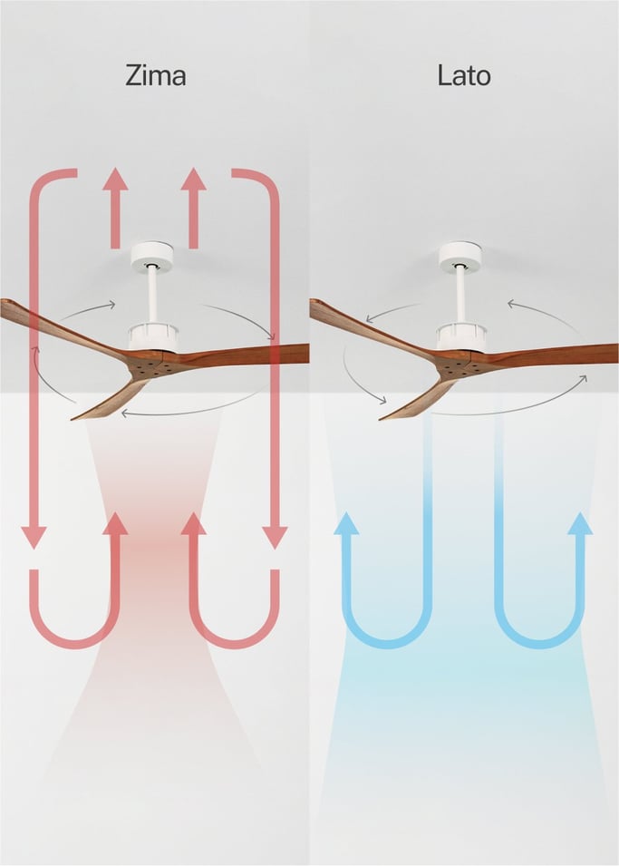 WIND LARGE - Wentylator sufitowy 40W cichy Ø152 cm 100% drewna, obraz z galerii 3