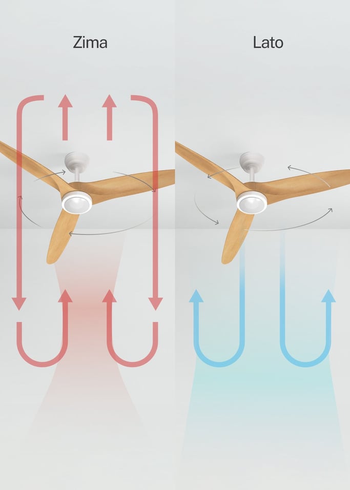 WIND CENTURY - Wentylator sufitowy 40W cichy Ø152 cm 100% drewno, obraz z galerii 3