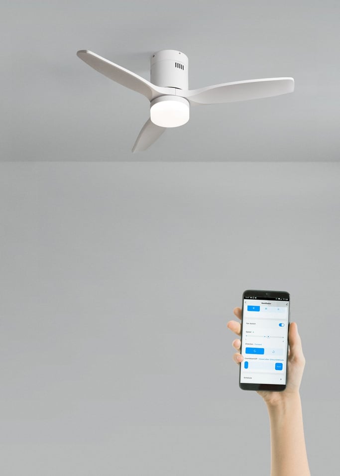 WIND CALM NATURAL WOOD - Wentylator sufitowy 40W cichy 100% drewno, obraz z galerii 2