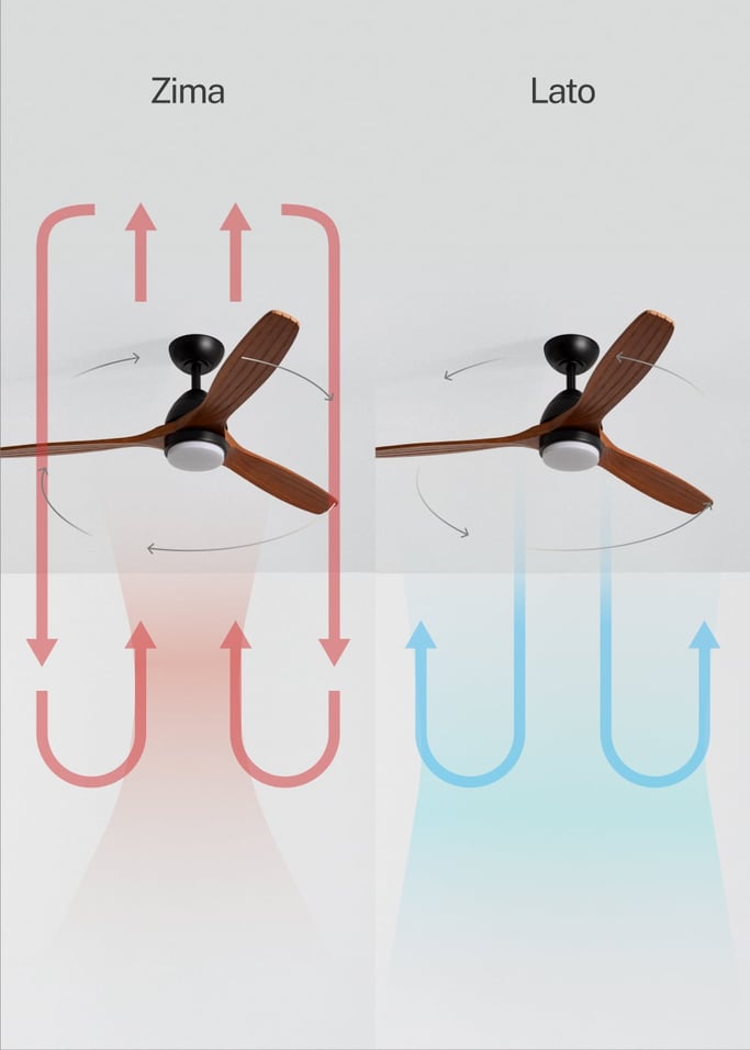 WIND CUP - Wentylator sufitowy 40W cichy Ø132 cm 100% drewna, obraz z galerii 3