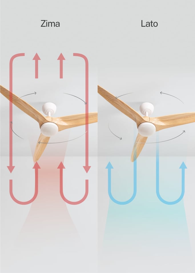 WIND CENTURY - Wentylator sufitowy 40W cichy Ø152 cm 100% drewno, obraz z galerii 3