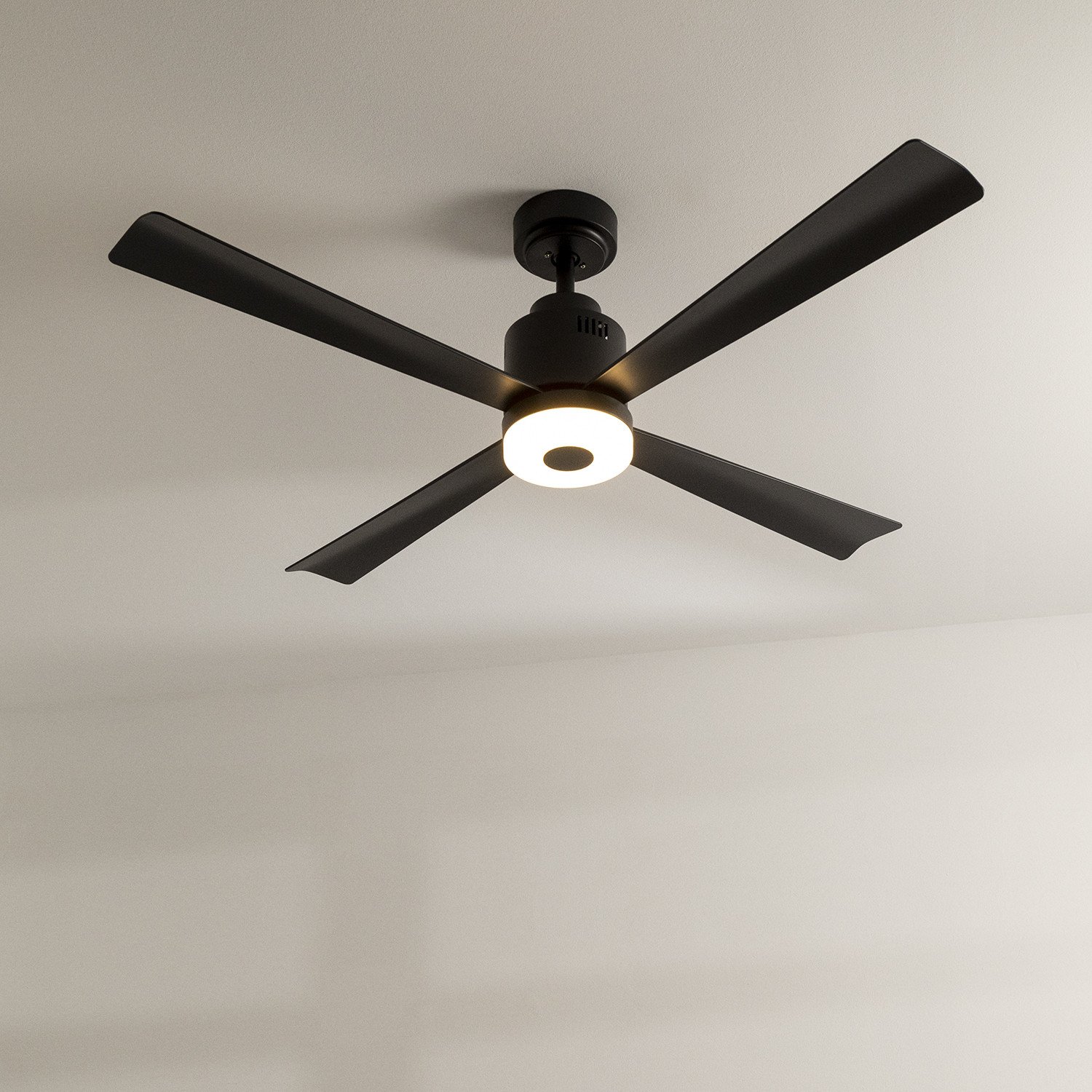 ceiling fans with lights near me