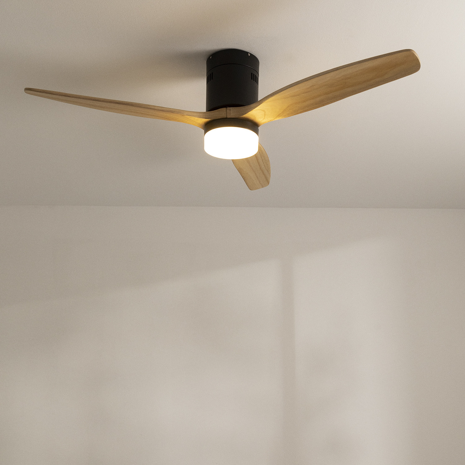 cool modern ceiling fans