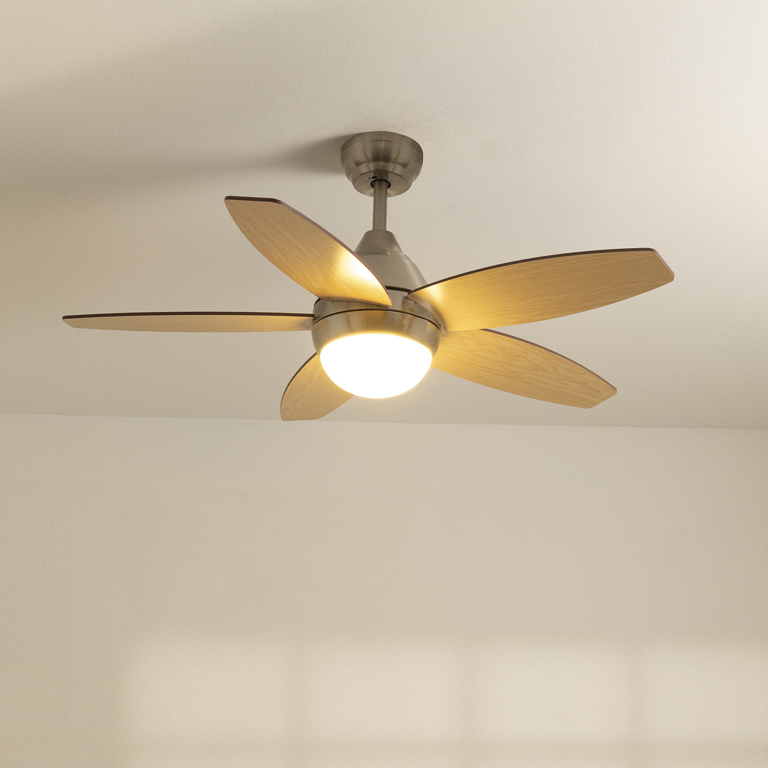 electric ceiling fan with light