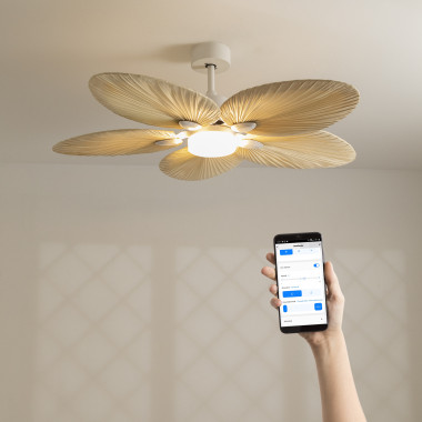 WINDSTYLANCE DC - Silent 40W Ceiling 