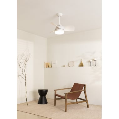 Small ceiling fans