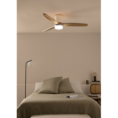 Small ceiling fans