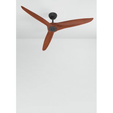 Large ceiling fans