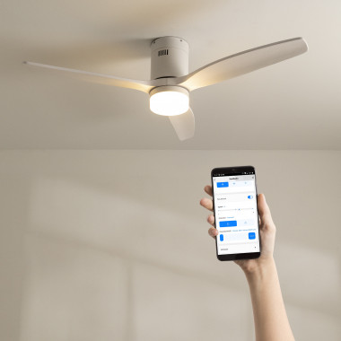 White ceiling fans - Create