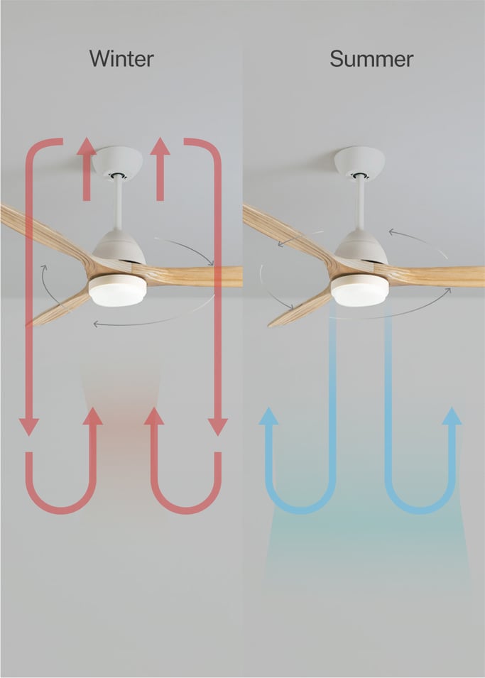 WIND CUP - Silent 40W ceiling fan Ø132 cm 100% wood, gallery image 3